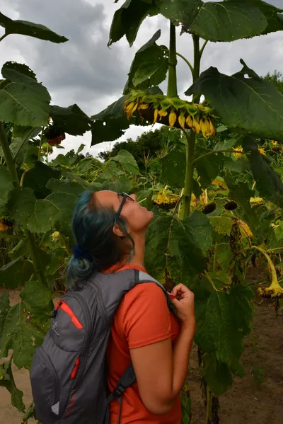 DSC_4849 (Large).JPG